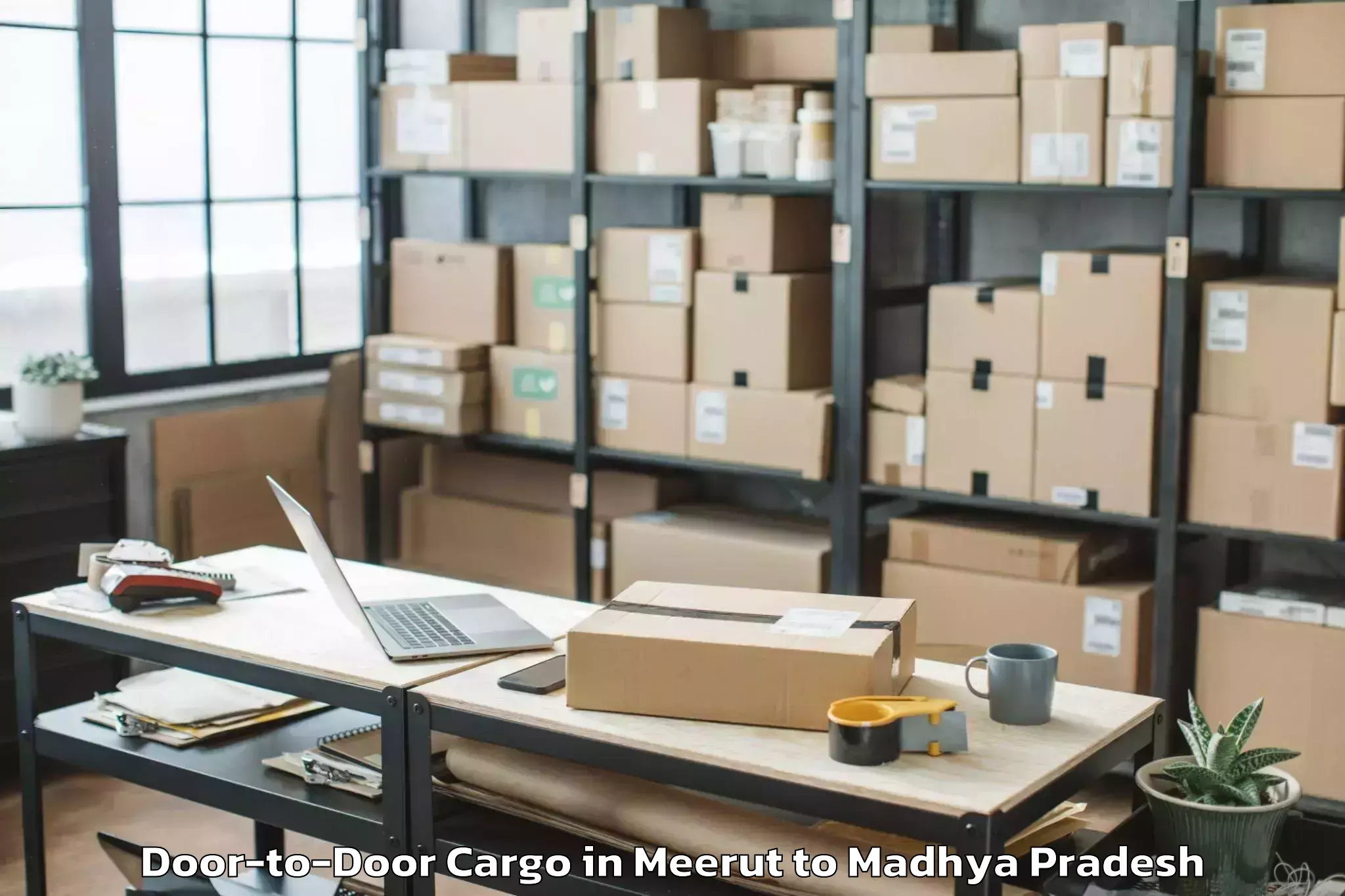 Professional Meerut to Raisen Door To Door Cargo